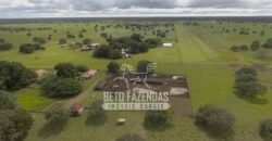 Fazenda à Venda 40.600 hectares Dupla Aptidão e Pista de Pouso | Vale do Araguaia/ TO