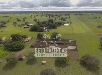 Fazenda à Venda 40.600 hectares Dupla Aptidão e Pista de Pouso | Vale do Araguaia/ TO