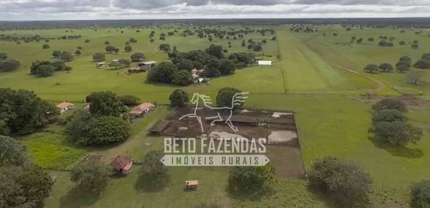 Fazenda à Venda 40.600 hectares Dupla Aptidão e Pista de Pouso | Vale do Araguaia/ TO
