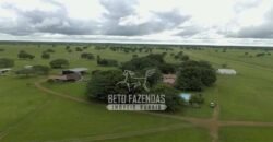 Fazenda à Venda 40.600 hectares Dupla Aptidão e Pista de Pouso | Vale do Araguaia/ TO
