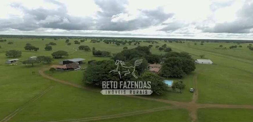 Fazenda à Venda 40.600 hectares Dupla Aptidão e Pista de Pouso | Vale do Araguaia/ TO