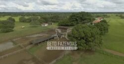 Fazenda à Venda 40.600 hectares Dupla Aptidão e Pista de Pouso | Vale do Araguaia/ TO