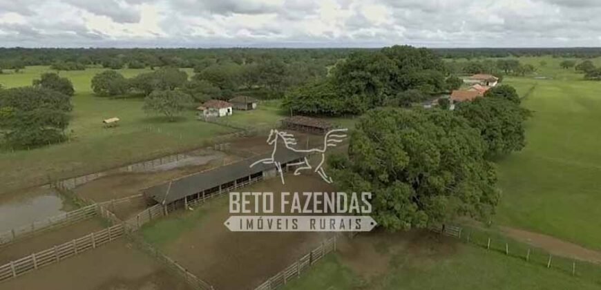 Fazenda à Venda 40.600 hectares Dupla Aptidão e Pista de Pouso | Vale do Araguaia/ TO