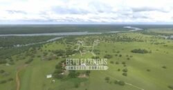 Fazenda à Venda 40.600 hectares Dupla Aptidão e Pista de Pouso | Vale do Araguaia/ TO