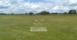 Fazenda à Venda 40.600 hectares Dupla Aptidão e Pista de Pouso | Vale do Araguaia/ TO