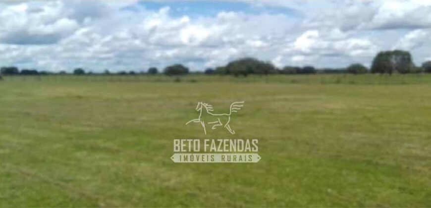 Fazenda à Venda 40.600 hectares Dupla Aptidão e Pista de Pouso | Vale do Araguaia/ TO