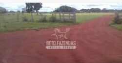 Fazenda à Venda 40.600 hectares Dupla Aptidão e Pista de Pouso | Vale do Araguaia/ TO