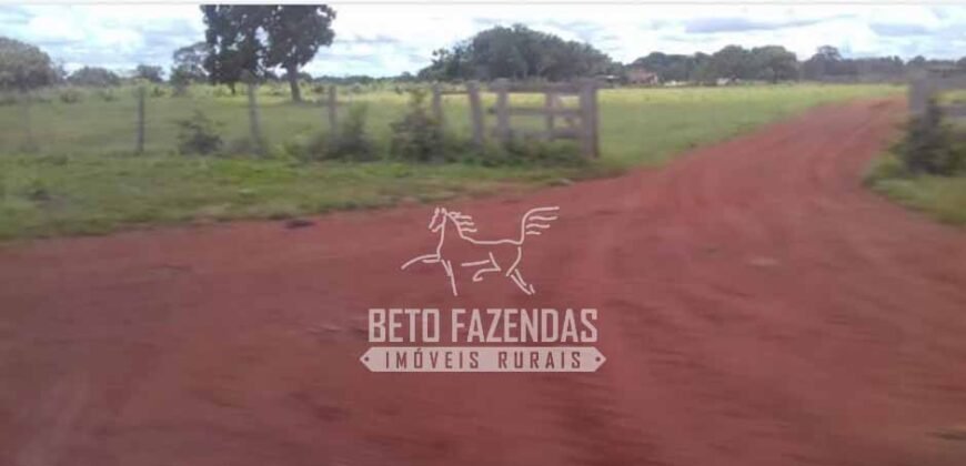 Fazenda à Venda 40.600 hectares Dupla Aptidão e Pista de Pouso | Vale do Araguaia/ TO
