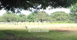 Fazenda à Venda 40.600 hectares Dupla Aptidão e Pista de Pouso | Vale do Araguaia/ TO