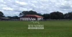 Fazenda à Venda 40.600 hectares Dupla Aptidão e Pista de Pouso | Vale do Araguaia/ TO