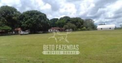 Fazenda à Venda 40.600 hectares Dupla Aptidão e Pista de Pouso | Vale do Araguaia/ TO