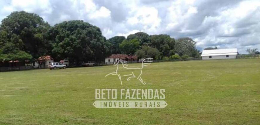 Fazenda à Venda 40.600 hectares Dupla Aptidão e Pista de Pouso | Vale do Araguaia/ TO