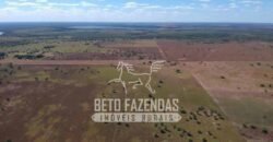 Fazenda à Venda 40.600 hectares Dupla Aptidão e Pista de Pouso | Vale do Araguaia/ TO
