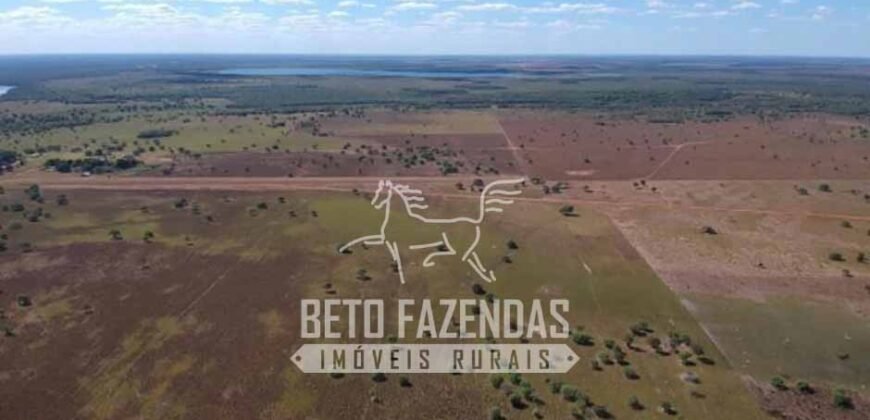 Fazenda à Venda 40.600 hectares Dupla Aptidão e Pista de Pouso | Vale do Araguaia/ TO