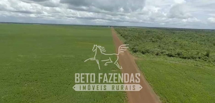Fazenda à Venda 40.600 hectares Dupla Aptidão e Pista de Pouso | Vale do Araguaia/ TO