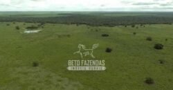 Fazenda à Venda 40.600 hectares Dupla Aptidão e Pista de Pouso | Vale do Araguaia/ TO