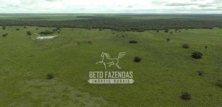 Fazenda à Venda 40.600 hectares Dupla Aptidão e Pista de Pouso | Vale do Araguaia/ TO