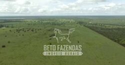 Fazenda à Venda 40.600 hectares Dupla Aptidão e Pista de Pouso | Vale do Araguaia/ TO