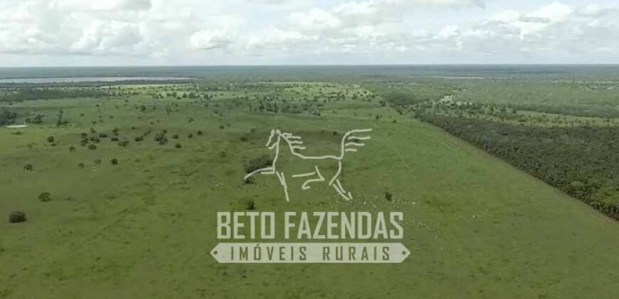 Fazenda à Venda 40.600 hectares Dupla Aptidão e Pista de Pouso | Vale do Araguaia/ TO