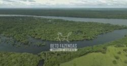 Fazenda à Venda 40.600 hectares Dupla Aptidão e Pista de Pouso | Vale do Araguaia/ TO