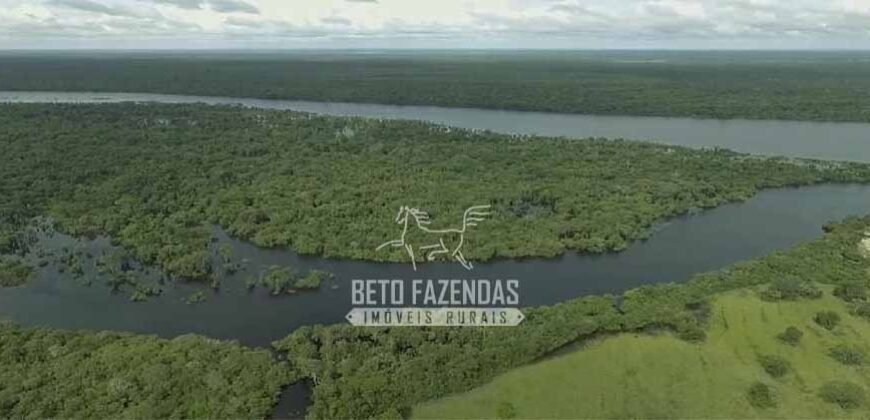 Fazenda à Venda 40.600 hectares Dupla Aptidão e Pista de Pouso | Vale do Araguaia/ TO