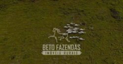 Fazenda à Venda 40.600 hectares Dupla Aptidão e Pista de Pouso | Vale do Araguaia/ TO