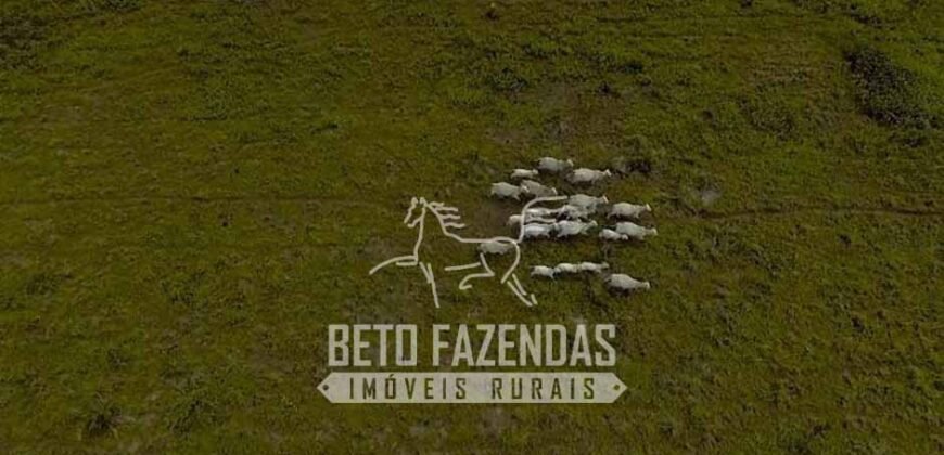 Fazenda à Venda 40.600 hectares Dupla Aptidão e Pista de Pouso | Vale do Araguaia/ TO