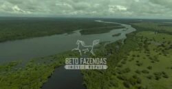 Fazenda à Venda 40.600 hectares Dupla Aptidão e Pista de Pouso | Vale do Araguaia/ TO