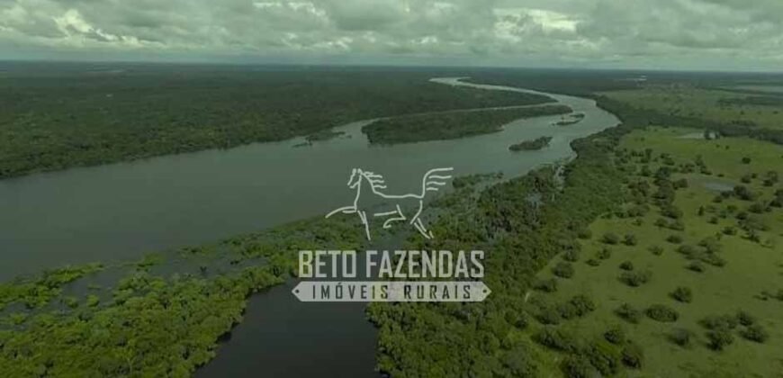 Fazenda à Venda 40.600 hectares Dupla Aptidão e Pista de Pouso | Vale do Araguaia/ TO
