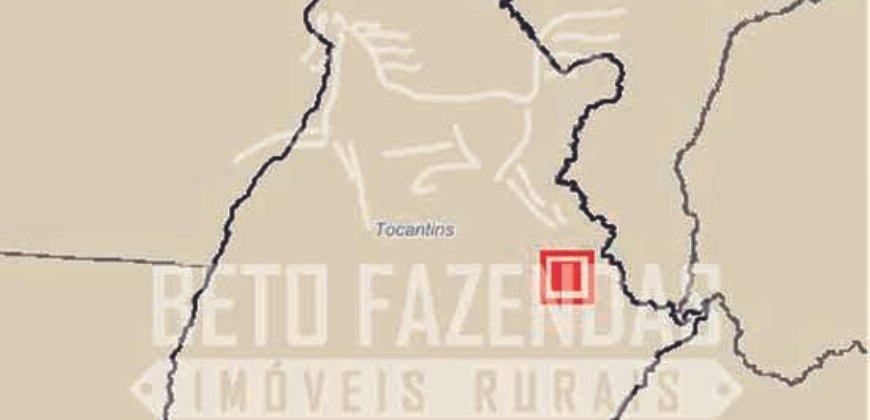 Fazenda à Venda 968 hectares Potencial de Preservação e Sustentabilidade | Lizarda–TO Fazenda à Venda 968 hectares Potencial de Preservação e Sustentabilidade | Lizarda–TO