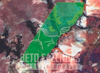 Fazenda à Venda 968 hectares Potencial de Preservação e Sustentabilidade | Lizarda–TO