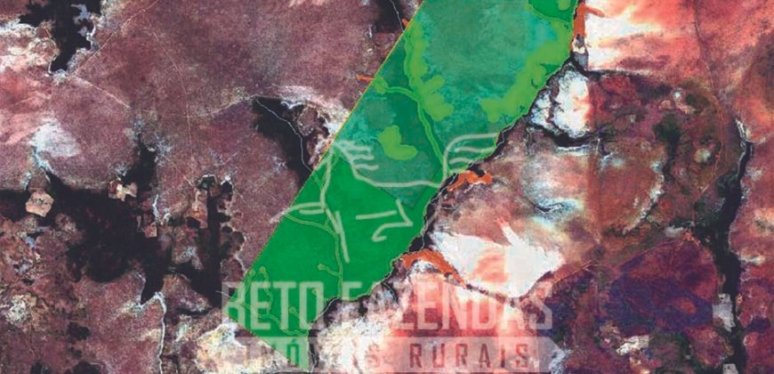 Fazenda à Venda 968 hectares Potencial de Preservação e Sustentabilidade | Lizarda–TO Fazenda à Venda 968 hectares Potencial de Preservação e Sustentabilidade | Lizarda–TO