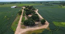 Fazenda à Venda 5.300 hectares Dupla Aptidão Grãos e Pecuária | Araguaína/ TO