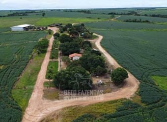 Fazenda à Venda 5.300 hectares Dupla Aptidão Grãos e Pecuária | Araguaína/ TO