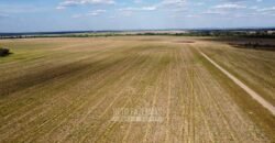 Fazenda à Venda 5.300 hectares Dupla Aptidão Grãos e Pecuária | Araguaína/ TO