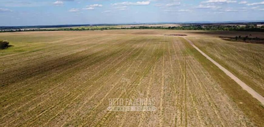 Fazenda à Venda 5.300 hectares Dupla Aptidão Grãos e Pecuária | Araguaína/ TO