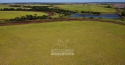 Fazenda à Venda 5.300 hectares Dupla Aptidão Grãos e Pecuária | Araguaína/ TO