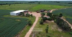 Fazenda à Venda 5.300 hectares Dupla Aptidão Grãos e Pecuária | Araguaína/ TO