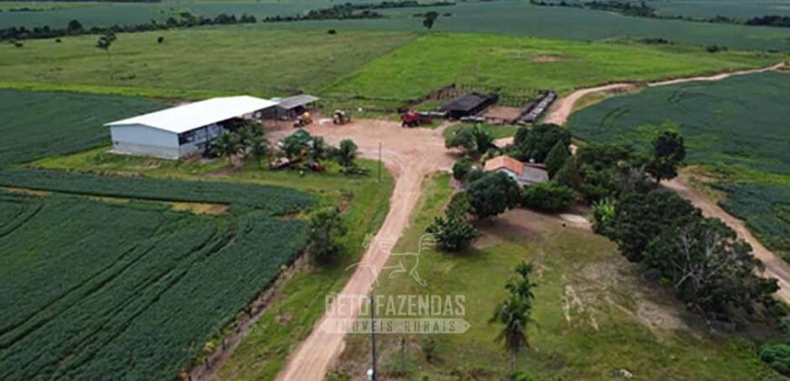 Fazenda à Venda 5.300 hectares Dupla Aptidão Grãos e Pecuária | Araguaína/ TO