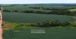 Fazenda à Venda 5.300 hectares Dupla Aptidão Grãos e Pecuária | Araguaína/ TO