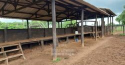 Fazenda à Venda 5.300 hectares Dupla Aptidão Grãos e Pecuária | Araguaína/ TO