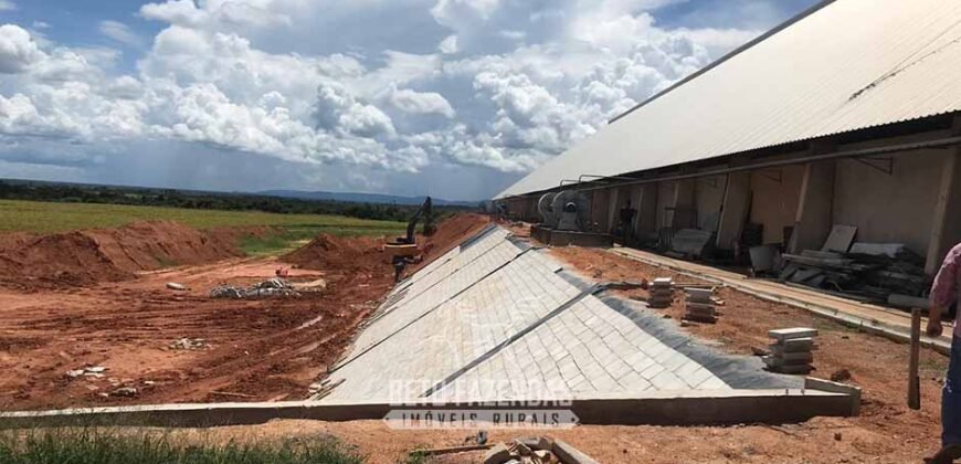 Fazenda Excepcional à Venda 39.000 Hectares Dupla Aptidão | Próximo a Confresa/ MT