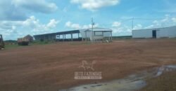 Fazenda Excepcional à Venda 39.000 Hectares Dupla Aptidão | Próximo a Confresa/ MT