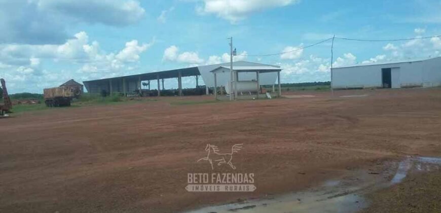 Fazenda Excepcional à Venda 39.000 Hectares Dupla Aptidão | Próximo a Confresa/ MT