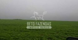 Fazenda Excepcional à Venda 39.000 Hectares Dupla Aptidão | Próximo a Confresa/ MT