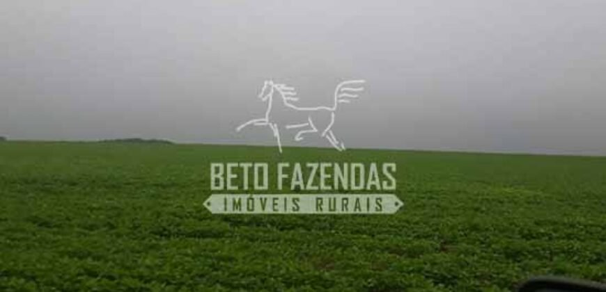 Fazenda Excepcional à Venda 39.000 Hectares Dupla Aptidão | Próximo a Confresa/ MT
