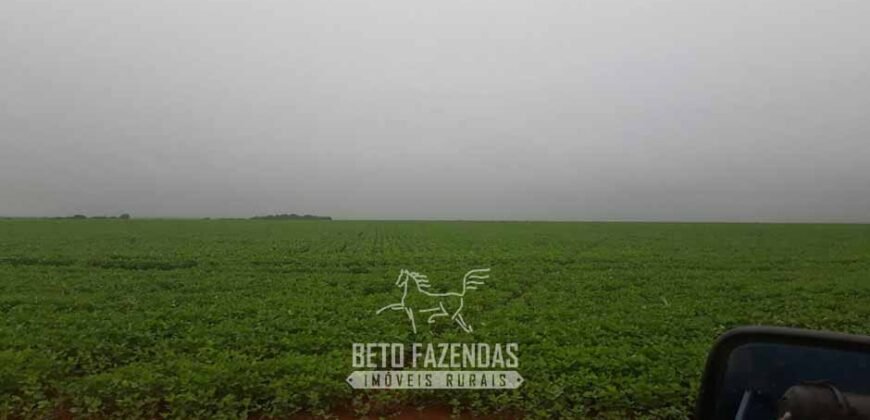 Fazenda Excepcional à Venda 39.000 Hectares Dupla Aptidão | Próximo a Confresa/ MT