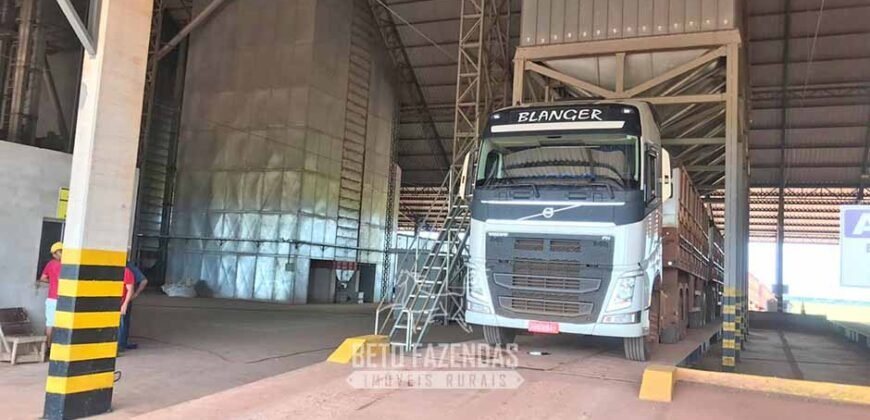 Fazenda Excepcional à Venda 39.000 Hectares Dupla Aptidão | Próximo a Confresa/ MT