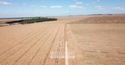 Fazenda Excepcional à Venda 39.000 Hectares Dupla Aptidão | Próximo a Confresa/ MT