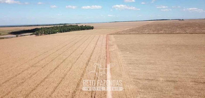 Fazenda Excepcional à Venda 39.000 Hectares Dupla Aptidão | Próximo a Confresa/ MT